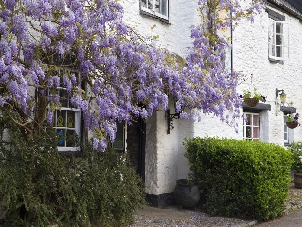 Old Church House Inn Newton Abbot Kültér fotó